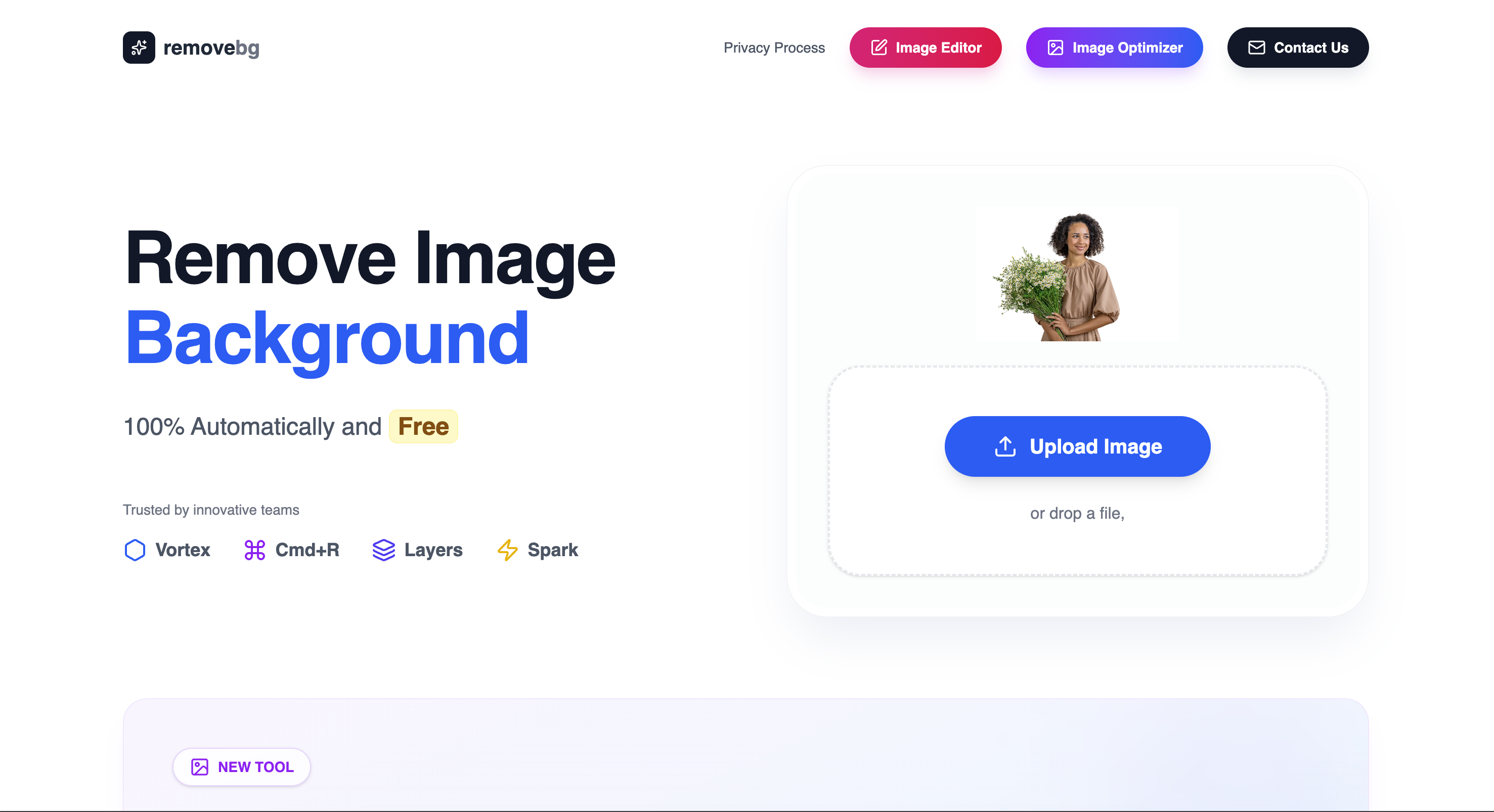 AI Background Remover